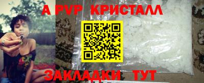 хмурый Кингисепп