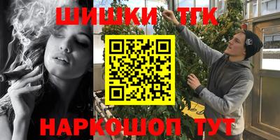 хмурый Кингисепп