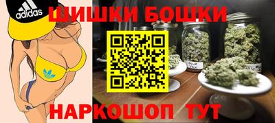 хмурый Кингисепп